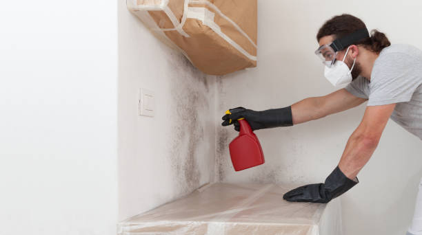Professional Black Mold Remediation technician working in Cresson, TX